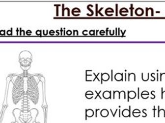 KS3 The Skeleton six mark exam Question