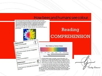 How bees see colour reading comprehension