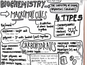 Macromolecules Summarised (3/4)
