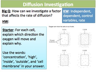 NEW AQA GCSE Cells 12-13 Diffusion Investigation