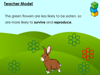 GCSE Evolution and Natural Selection lesson