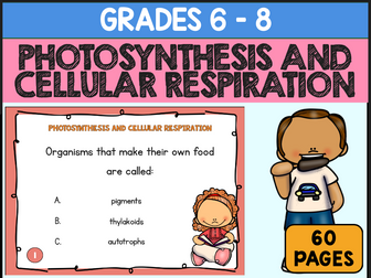 Photosynthesis And Cellular Respiration Task Cards Practice