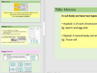 Meiosis OCR GCSE