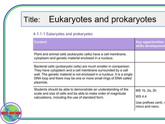 Eukaryote / Prokaryote retrieval practice