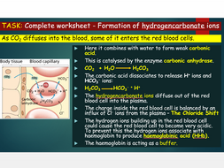 OCR A level Biology (H020) - Module 3 - Transporting carbon dioxide