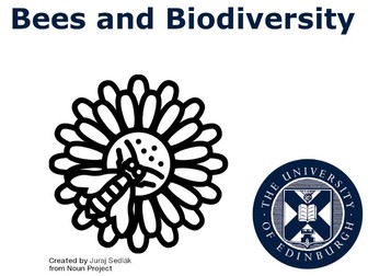 Bees and Biodiversity (Multidisciplinary Learning)