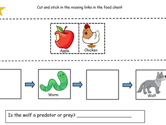 Key stage 1 food cycles worksheet and card sort