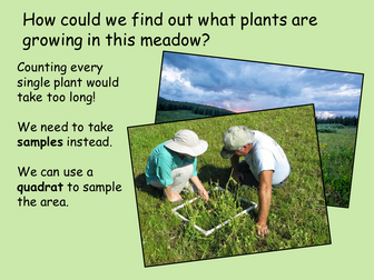 GCSE Measuring Distribution of Plants