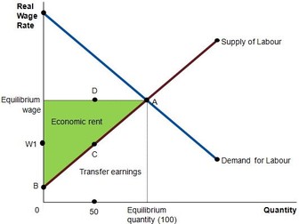 Transfer Earnings / Economic Rent - PPTs for a difficult A Level Economics Topic (CIE, AQA)