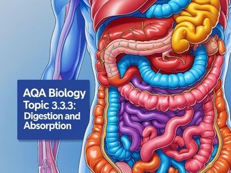 AQA A-level biology 3.3 Exchange pt2 3.3.3 Digestion and absorption