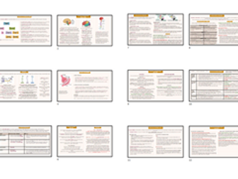 AQA A Level Biopsychology