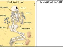 archer amesbury newspaper bronze age lesson report