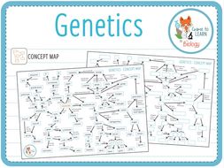 ks3 genetics worksheet