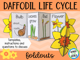 Life cycle of a daffodil flower spring science foldout activity KS1