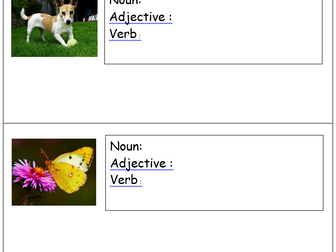 Animal Adjectives - Sentence Building