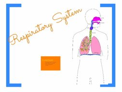 Repiratory System Prezi