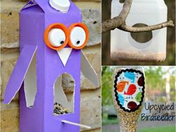 Year 2 Dt Create Your Own Bird Feeder Teaching Resources