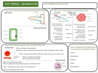BTEC Science Unit 1 Biology revision mats