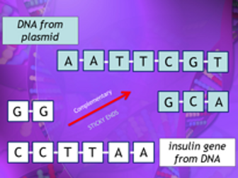 Genetic engineering (GCSE)