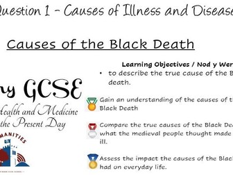Causes of the Black Death