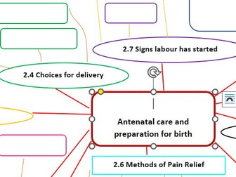 Child Development Revision Resource - Antenatal care and preparation for birth