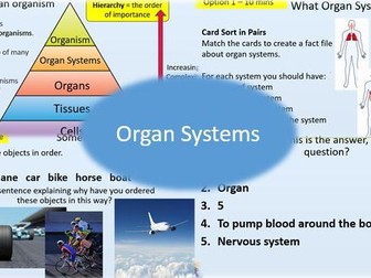 KS3 - Organ Systems