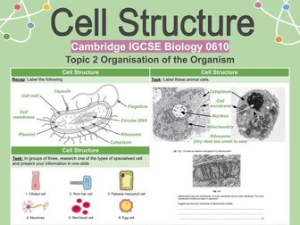 Cell Structure - Plant, Animal, Bacterial and Specialised Cells