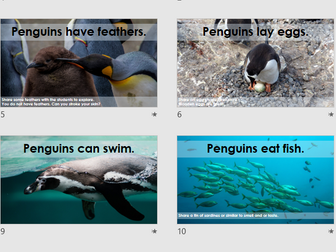 Penguin Sensory Science