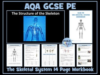 AQA GCSE PE - The Skeletal System Workbook / Worksheets