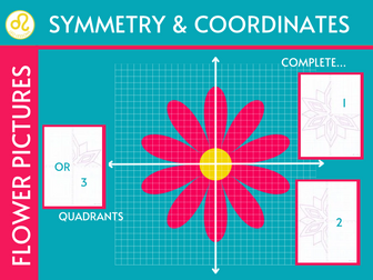Coordinates Symmetry 4 Quadrants Flower