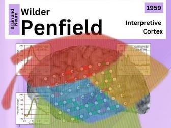 Named Studies: Penfield (AQA GCSE Psychology)