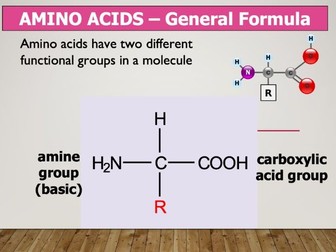 Natural polymers and DNA lesson powerpoint