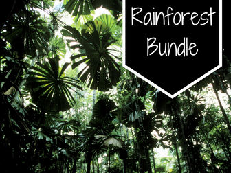 Rainforest Bundle-Art, Music, Drama