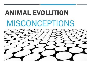 Animal Evolution Misconceptions Quiz – Critical Thinking Assessment