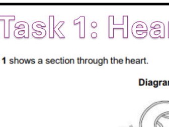 GCSE AQA Biology Higher - Paper 1 Exam Practice | KS4 | Revision Questions + Mark Scheme