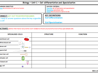 AQA GCSE Biology - Cell Biology - Cell Differentiation and Specialisation