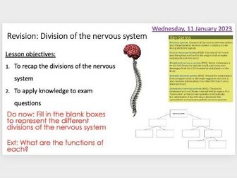 Divisions of the nervous system Revision