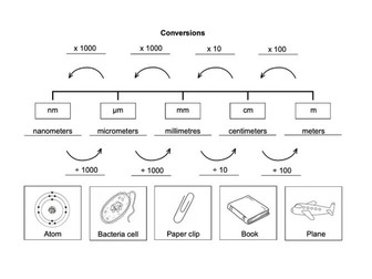 KS3 & KS4 Science (Biology) Conversions Worksheet