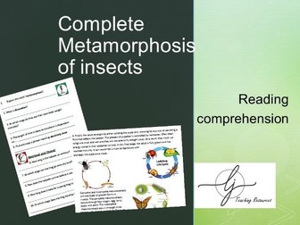 Complete metamorphosis of insects reading comprehension