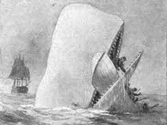 Eaten Alive! A Whale of a Tale Readers' Theatre Script