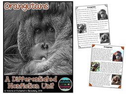 Differentiated Nonfiction Unit: Orangutans