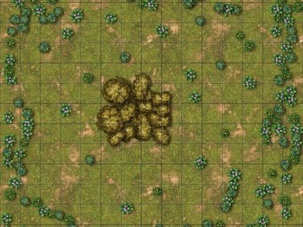 How to Use Quadrats.