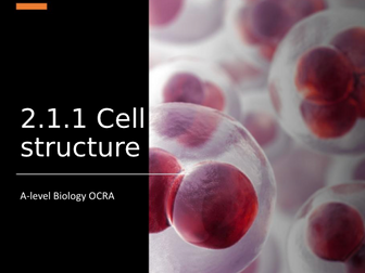 A-level Biology (OCRA): 2.1.1 Cell Structure