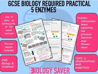 GCSE Biology Practical - 5 Enzymes