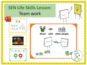 SEN Life Skills Lesson: Team work
