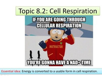 IB Biology HL Unit 8.2: Cell Respiration