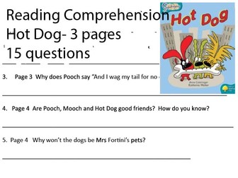 Reading Comprehension- Oxford Reading Tree Level 9 Hot Dog