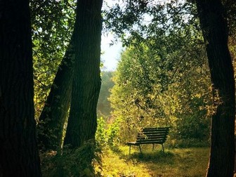Boosting Wellbeing for Primary School Staff :  CPD Session