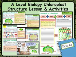 A Level Biology Chloroplast Structure Lesson & Activities | Teaching
