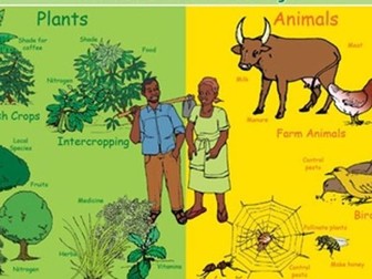 A Level Biology - Biodiversity